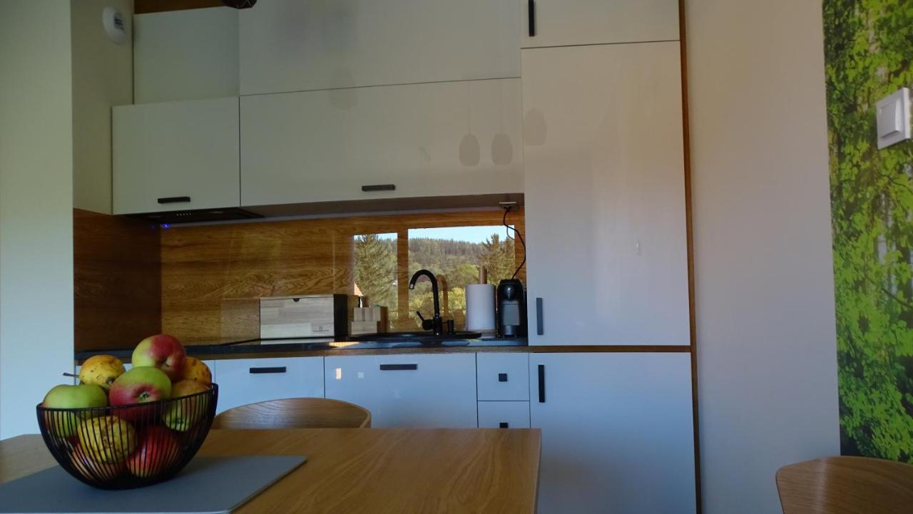 Apartament Delux 2 Szklarska Poreba Bagian luar foto