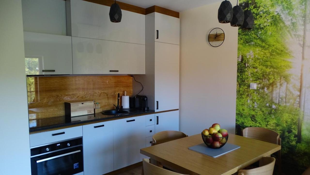 Apartament Delux 2 Szklarska Poreba Bagian luar foto