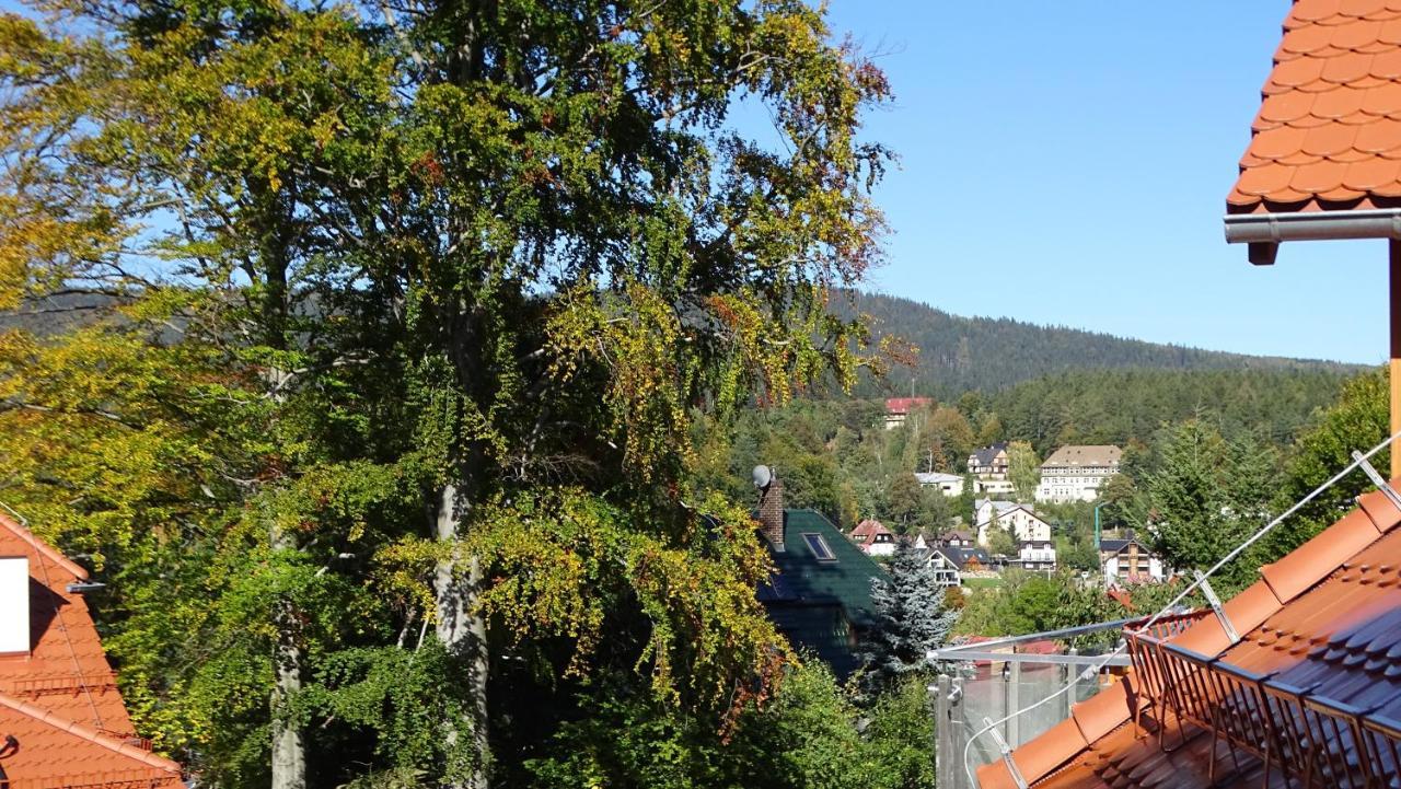 Apartament Delux 2 Szklarska Poreba Bagian luar foto